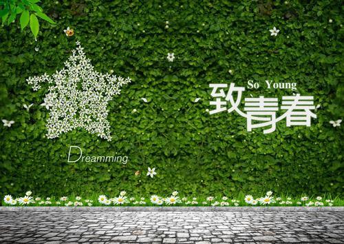 最火小说语录摘抄经典50句