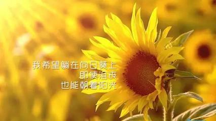 真切的祝福问候语