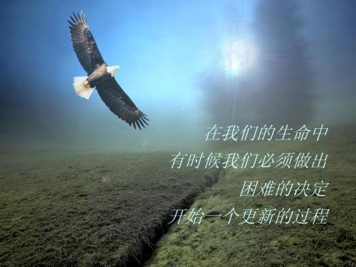 20个经典寓言故事及寓意