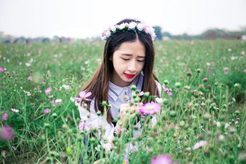 50句优美语段摘抄