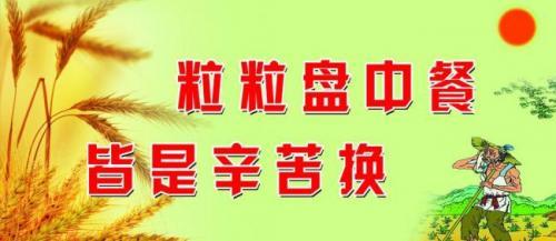 节约粮食的名言大全