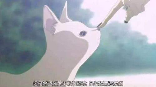 沙雕又可爱的朋友圈文案推荐