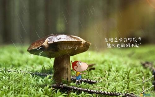 李嘉诚的经典名言 奋斗人生