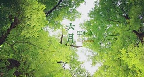 纪念青春时光的句子