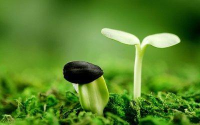 珍爱生命满分作文范文500字