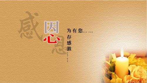 关于感恩的优秀作文600字