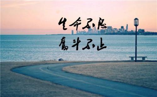 青春与梦想励志演讲稿大全
