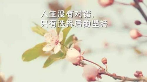 激励人心的好句好段