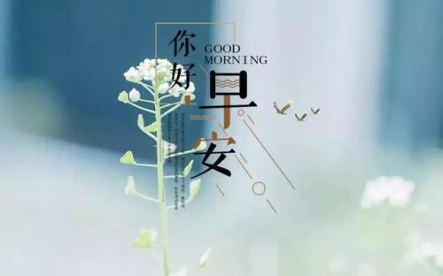 2020最新微商朋友圈万能吸粉文案