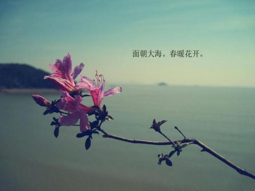 星辰大海的征途，也从足履实地开始
