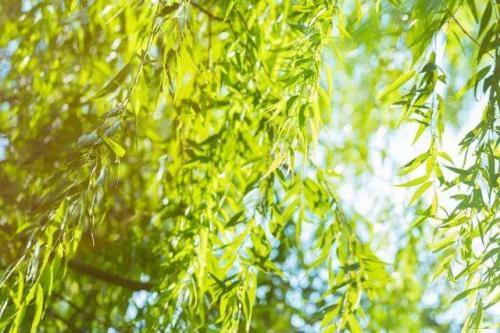 职场励志：我很重要