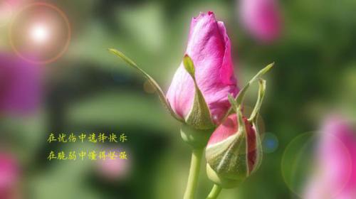 在生活中都不要逃避自己的责任