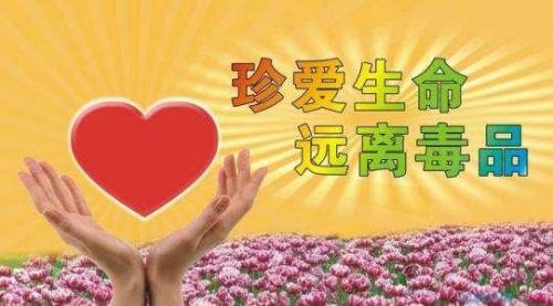国际禁毒日的宣传标语大全