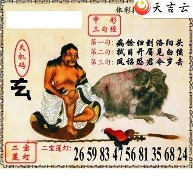 《骆驼祥子》读后感800字精选三篇