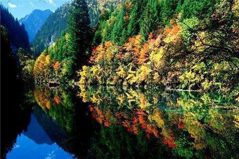 敢想才敢做敢拼才会赢