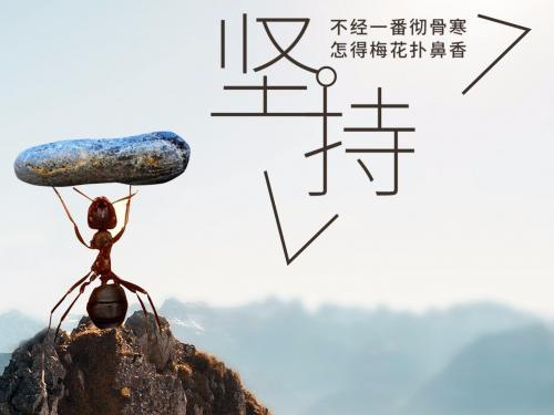 残疾人励志电影