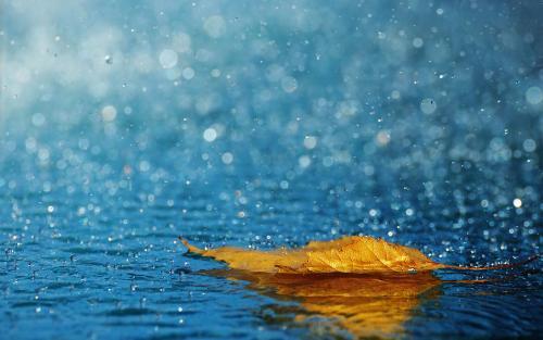 描写雨的散文五篇