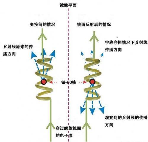 李政道请吴健雄做了什么实验？