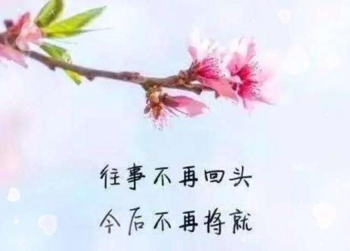 得失心情淡定的说说，低调怡然