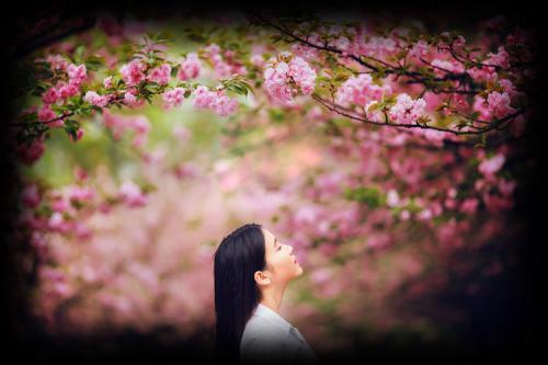 情感美文美句