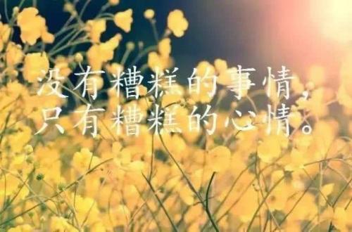 积极向上励志晨读文章摘抄