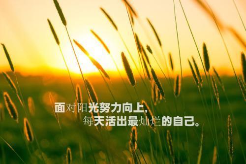 80句英语励志名言，来点不同的励志名言吧