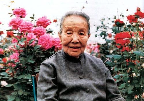 冰心优美散文集摘抄