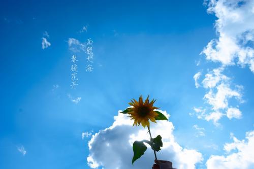 电影面对巨人永不放弃观后感