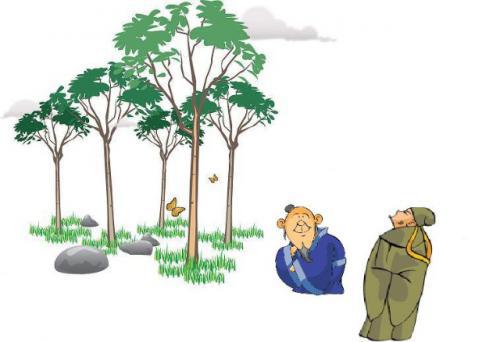 人生感悟：前人种树，种的是心情