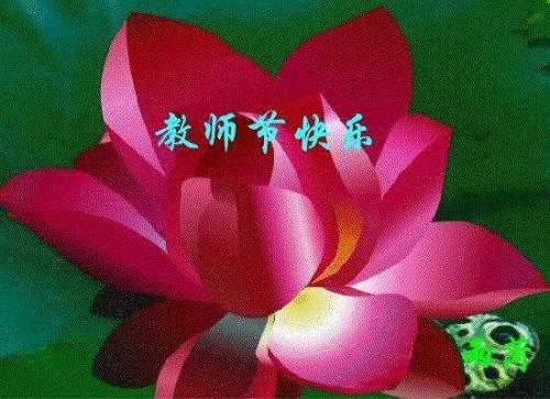 教师节优秀征文精选3篇