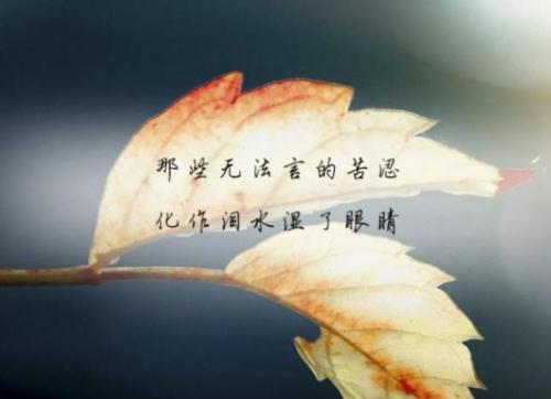 心情低落的文艺句子精选