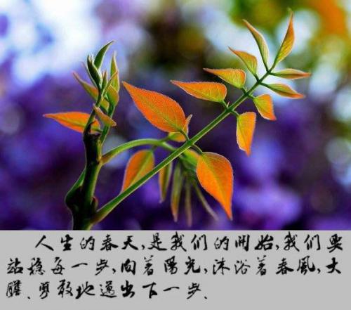 最后一件事也要完成好