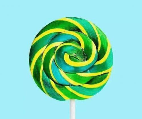 甜甜的神仙文案40句