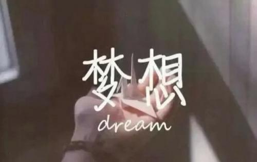【我的梦想作文】 八篇