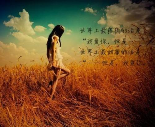 婚姻情感故事：纸上婚变
