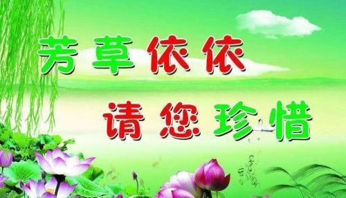 绿色城市环保的口号大全