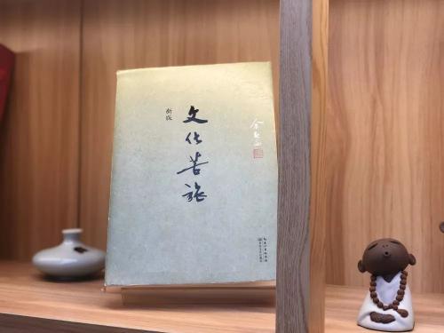 《文化苦旅》读后感精选三篇