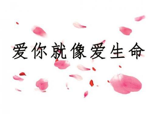 《爱你就像爱生命》简介资料