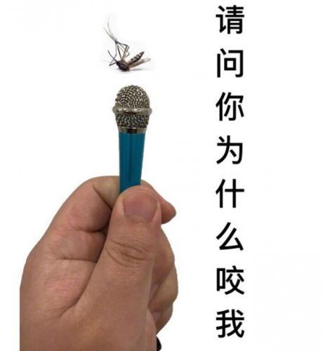 80条搞笑短信笑话大全