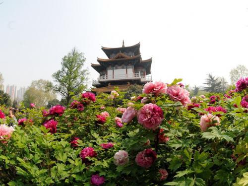 倾情一裸——爱她，就要让她快乐
