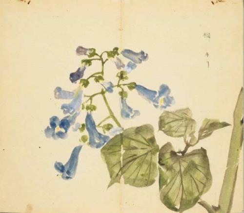 《人间草木》读后感600字精选三篇