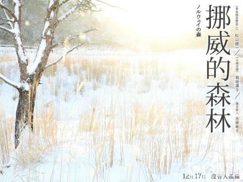 《挪威的森林》读后感400字三篇