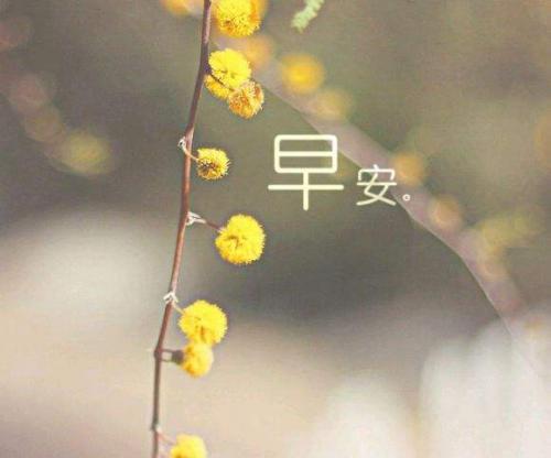超棒的周末祝福语100句，句句暖心！