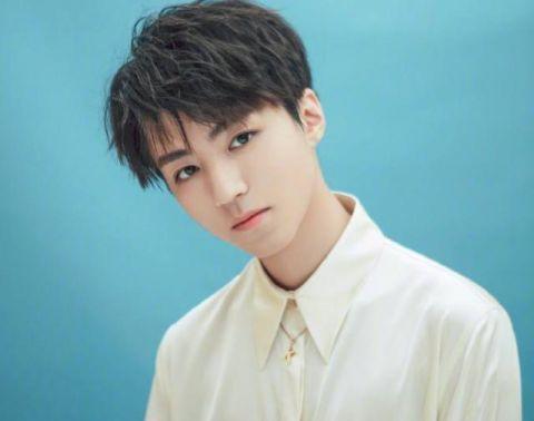 tfboys王俊凯简介