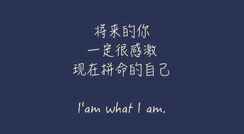 年轻多吃苦的励志句子