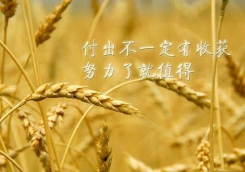 正能量励志故事及感悟大全
