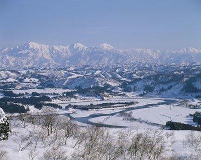 《雪国》读后感600字精选三篇