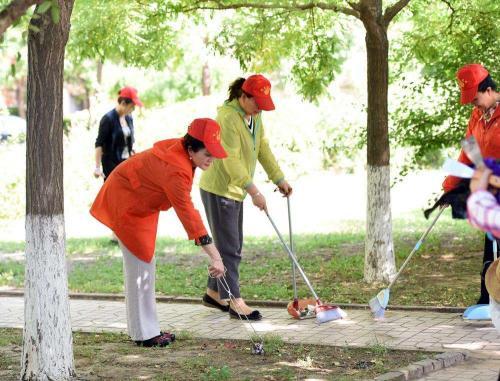 青春志愿行奉献新时代主题征文精选3篇