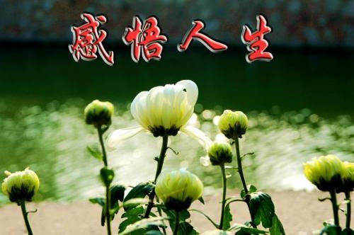 经典人生感悟：理直气壮地年轻