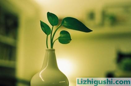 激发能量的名言1
